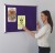 Shield ColourPlus Aluminium Framed Notice Boards